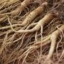 Imagem de Chá de Ginseng - Panax Ginseng Meyer - 100g