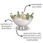 Imagem de Champagneira com base coletora12,2l forma inox 802083