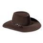 Imagem de Chapéu Country Cavalgada Gusttavo Lima Aba 11 Premium Top Hats Unissex