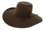 Imagem de Chapeu Country Champion Felt Biplay 2 Preto Original - 54