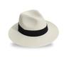 Imagem de Chapéu Panamá Palha Fedora Moda