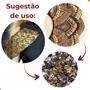 Imagem de Chaton Para Costura Quadrado 6X6mm Em Acrilico Com 10.000 Peças