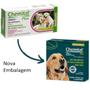 Imagem de Chemital Plus Com4 Comprimidos ChemitecVermífugo Para Cães Kit Com 5 Cx
