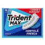 Imagem de Chiclete Trident Max Hortelã Fresca Zero Açúcar 16,5g