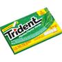 Imagem de Chiclete Trident Menta 14S 25,2g