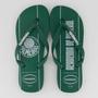 Imagem de Chinelo Havaianas Palmeiras Escudo Verde