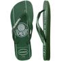 Imagem de Chinelo havaianas palmeiras modelo 2