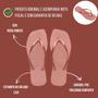 Imagem de Chinelo Havaianas Slim Square Original