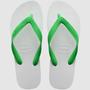 Imagem de Chinelo Havaianas Tradicional Unissex Original