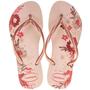 Imagem de Chinelo Havaianas