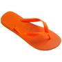 Imagem de Chinelo Masculino Havaianas Top - Super desconto