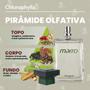 Imagem de Chlorophylla Deo Colonia Perfume Marro 100ml c/ Desodorante