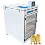 Imagem de Chocadeira Automática Digital - Luna 240