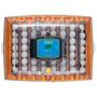 Imagem de Chocadeira digital automática com controle de umidade - Brinsea Ovation 56 EX