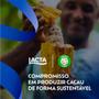 Imagem de Chocolate Lacta Intense Amargo 60% Cacau Mix Nuts 85g - Caixa com 17 Unidades