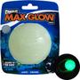 Imagem de Chuckit Max Glow Dog Ball Large Brilha no Escuro 1 unidade 