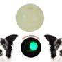 Imagem de Chuckit Max Glow Dog Ball Large Brilha no Escuro 1 unidade 