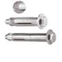 Imagem de Chumbador Parabolt Âncora 5/16 X3 1/4 CBA com Parafuso C56314