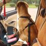 Imagem de Cinto de Segurança Cachorro Pet Cao Guia Animal de Estimaçao Veiculo Carro Passeio Viagem Transporte Pet Shop Resistente