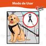 Imagem de Cinto Segurança Pet Universal Coleira Todos os Veículos Porte Cachorro Gato