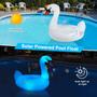 Imagem de Cisne movido a energia solar Pool Floats Ksheat Big Flamingo com LED