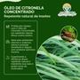 Imagem de Citronela Repelente - Óleo de Citronela Concentrado - 120ml (rende 24 Litros) - 3 unid.