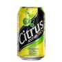 Imagem de Citrus Antarctica Lata 350ml