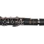 Imagem de Clarinete Michael WCLM30 com Case