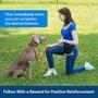 Imagem de Clicker Clik-r Pet Safe Treinamento e Adestramento Para Cães