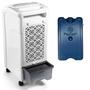 Imagem de Climatizador 4 em 1 Elgin Smart 220V com Gelo Artificial