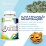 Imagem de Cloreto de Magnesio Pa com Sucupira Bionutri 120 Capsulas 500mg
