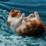 Imagem de Cobertor Bedsure Sherpa Fuzzy - Tamanho Twin - Cor Teal