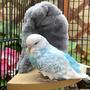 Imagem de Cobertor de lã para pássaros Filhome Comfort Corner para gaiola de papagaio