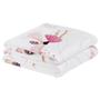 Imagem de Cobertor Fantasy Solteiro Infantil Mantinha Flannel Estampada - Bailarina