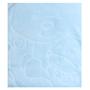 Imagem de Cobertor Infantil 80x110cm Raschel com Relevo Jolitex