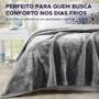 Imagem de Cobertor Soft 300 Algoester Casal Linha Ester Aconchego e Suavidade Varias Cores