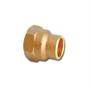 Cobre Conector Femea 02 28X1 Com Anel - ELUMA (10000490) Imagem de Cobre Conector Femea 02 28X1 Com Anel - ELUMA (10000490)