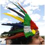 Imagem de Cocar Indígena de Carnaval Colorido de Penas para Fantasias
