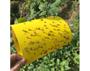 Imagem de Cola Entomológica Amarela Yellow Glue 500g