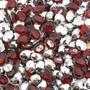 Imagem de Colagem Oval Strass Acrílico Vermelho Transparente 6x8mm 300pçs 30g