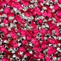 Imagem de Colagem Redondo Strass Rosa 4mm 3000pçs Acrílico Biju 30g