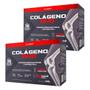 Imagem de Colágeno Duo Sabor Limão Kit Com 2Un De 30 Sachês 11g Cada