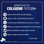 Imagem de Colageno Tipo 2 40mg Kit 3x 60 Capsulas Blister - Flora Nativa