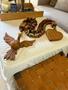 Imagem de Colar de mesa para decoração de ambientes artesanal de madeira maciça modelo divino espírito santo tamanho g