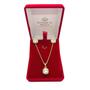 Imagem de Colar e Brinco Feminino Folheado a Ouro com Zircônia 45cm com extensor