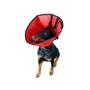 Imagem de Colar Elizabetano Para Cachorro K-9 Spirit Vermelho Egg