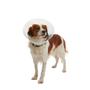 Imagem de Colar Elizabetano Pet p/ Cachorro Kruuse Buster Clic 12,5cm