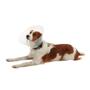 Imagem de Colar Elizabetano Pet p/ Cachorro Kruuse Buster Clic 12,5cm