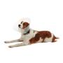 Imagem de Colar Elizabetano Pet Para Cachorro Kruuse Buster Clic 40Cm