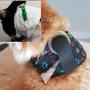 Imagem de Colar Protetor Sonda Alimentação Gato Cachorro